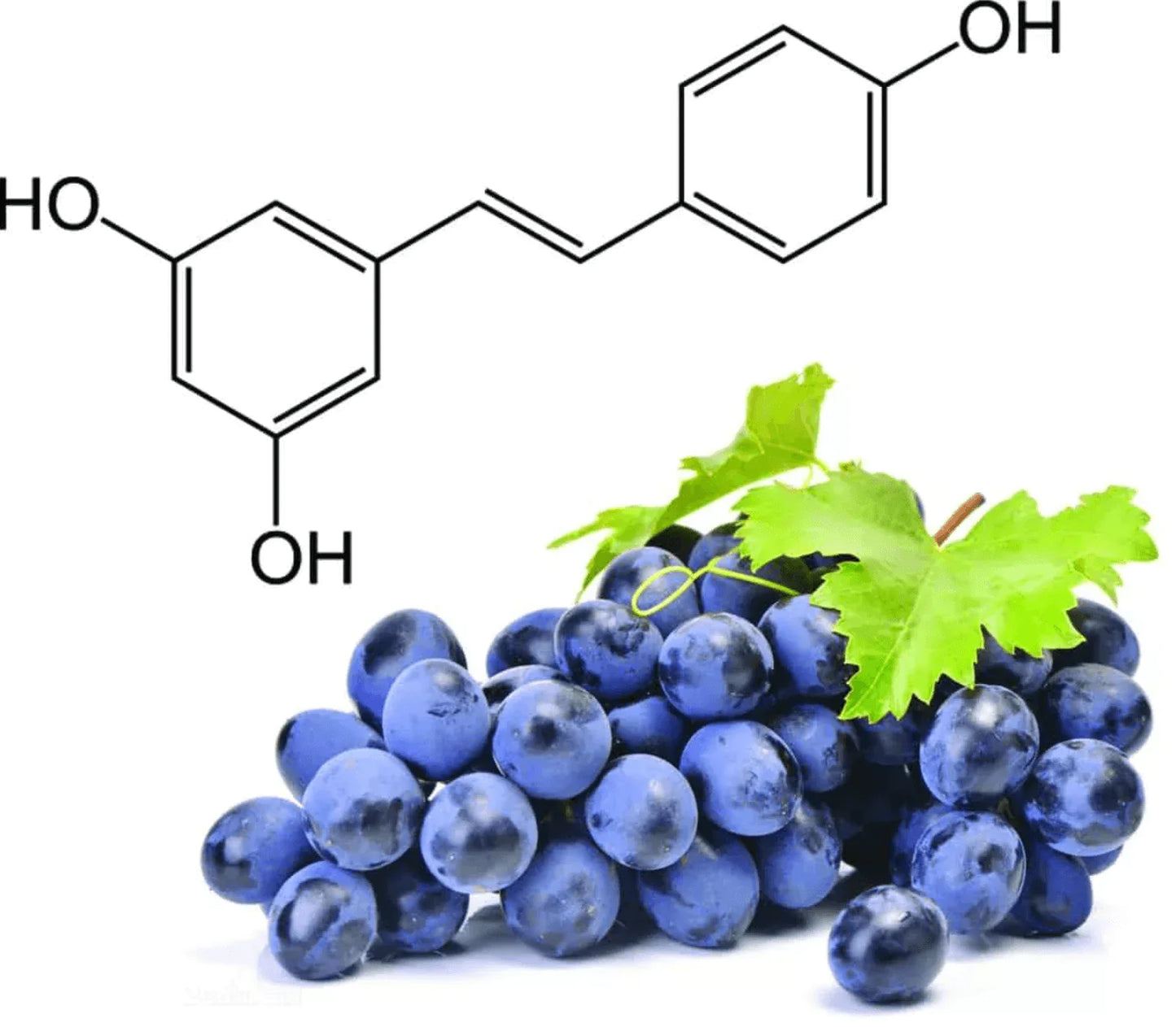 Serenvit Resveratrol & Ferulic Acid Serum