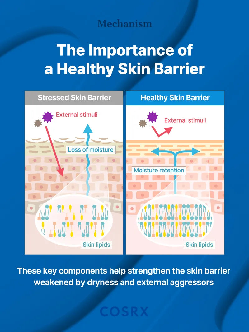 Skin Barrier Moisturizing Cream